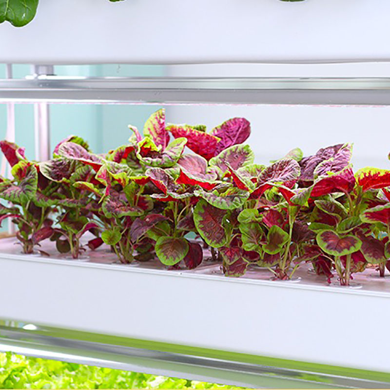 Sistema de cultivo hidropônico - Hydroponic Tower Planter avaliação e preço